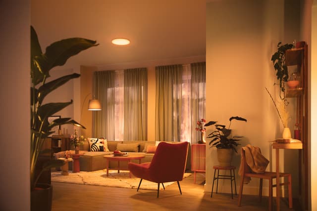 Philips Izso loftslampe 24W med fjernbetjening