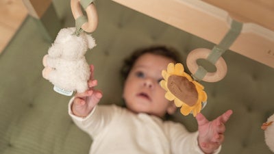 Little Dutch Little Farm Babygym Tre