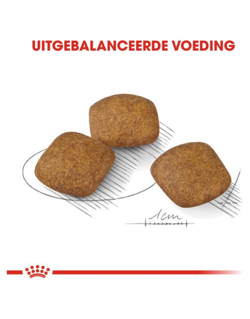 Royal Canin Relax Care Medium - Hondenvoer