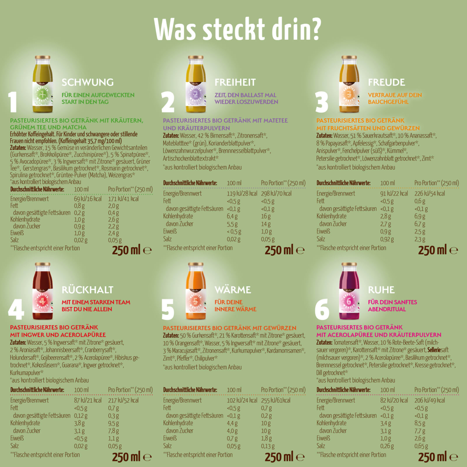 Kräuterwunder Bio Fastenkur 7 Tage (42 Flaschen)