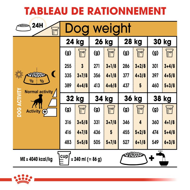 Royal Canin Boxer Adult à prix discount sur bitiba.fr