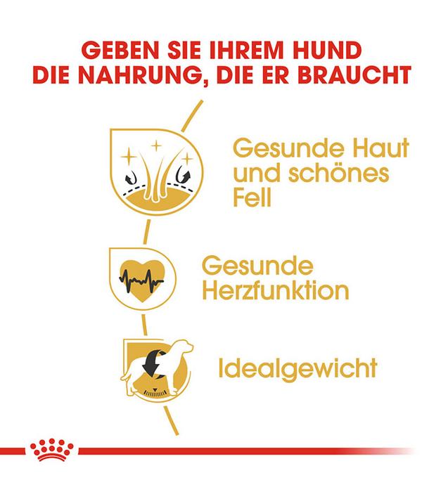 ROYAL CANIN® Trockenfutter für Hunde Golden