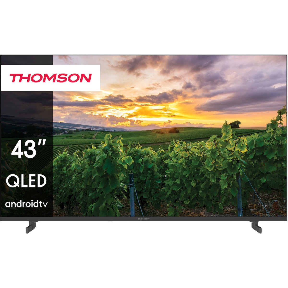 Thomson 43