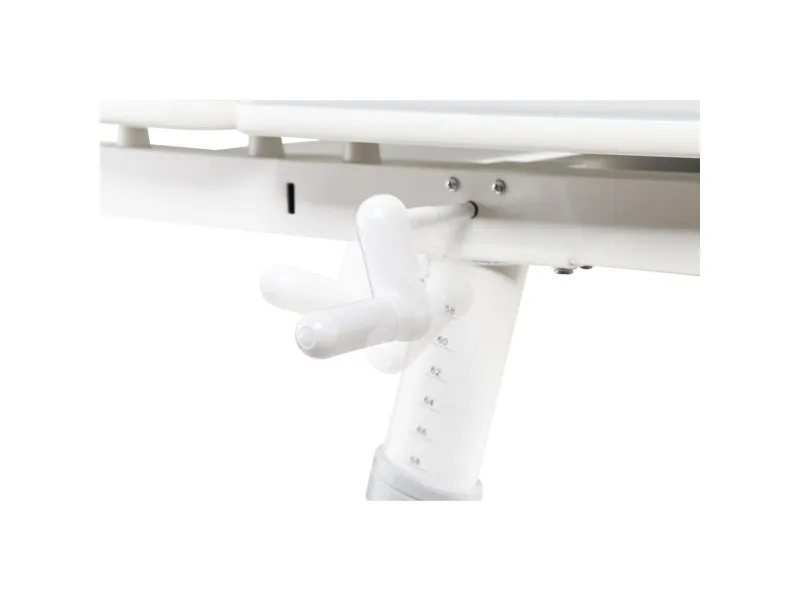 Ergo Office ergonomisk højdejusterbart børneskrivebord, grå, max 100 kg, ER-417 2cz