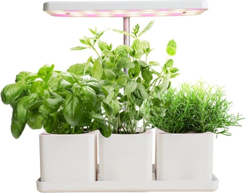 ECO - Kweekstation - LED - Verstelbaar - Inclusief 3 Plantpotjes
