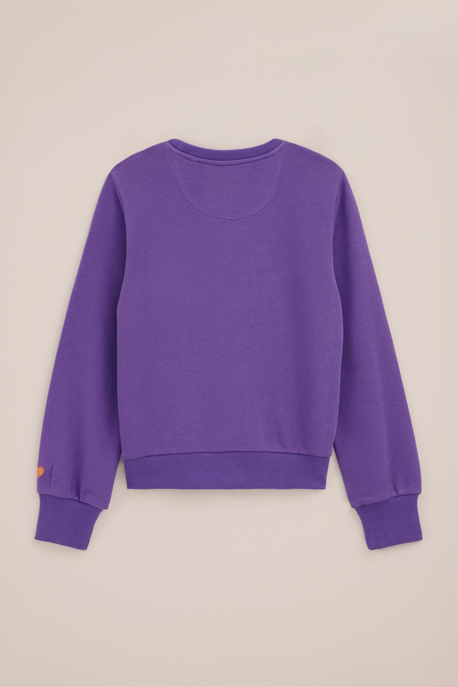 Meisjes sweater met embroidery WE Fashion Donkerpaars