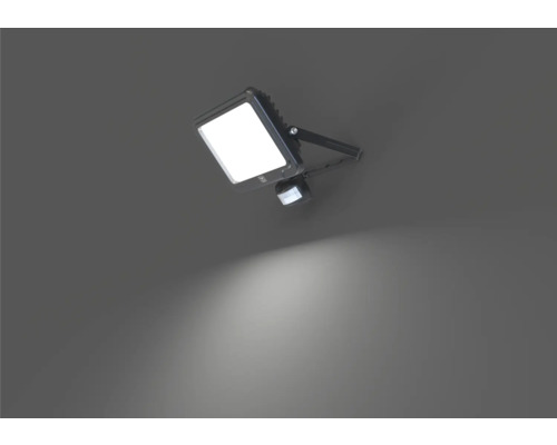 LUMAK PRO Sensor Wandspot IP44 50W 8250 lm 4000K Kabel H05RN-F 0,5 m + Snelkoppeling