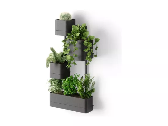 Pots à fleurs muraux Cubiko Noir Umbra