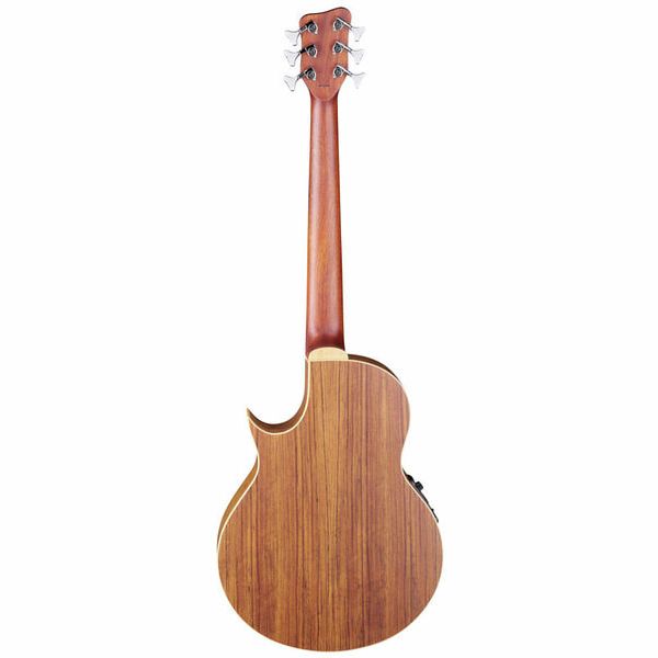 Warwick Alien 6 NT