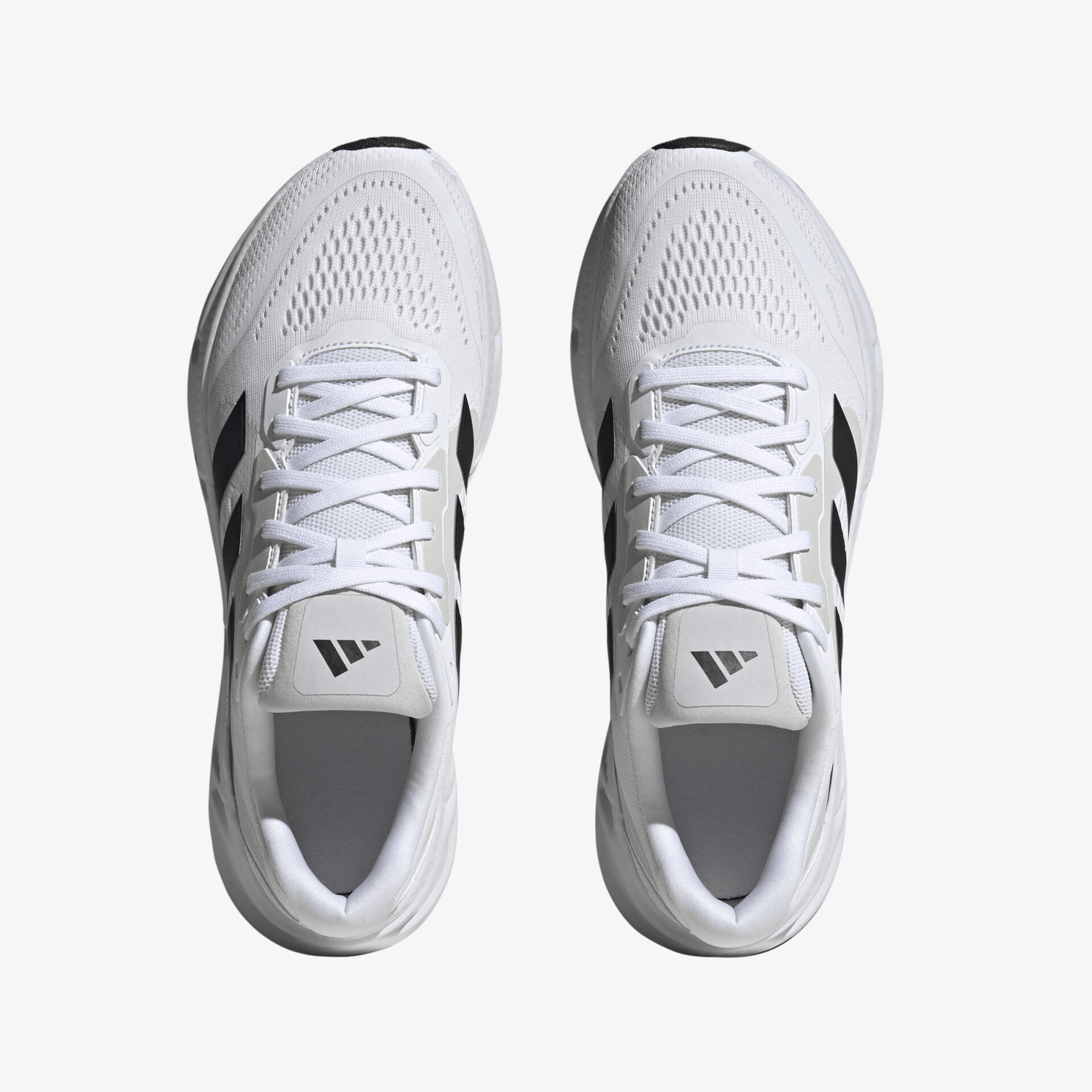 adidas Questar 2 Sneaker Low weiß
