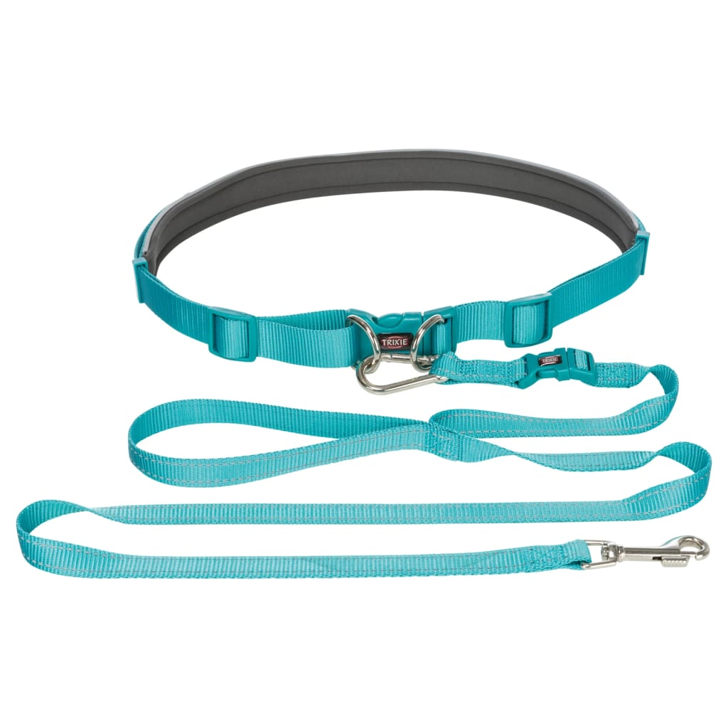 Guia azul para cães