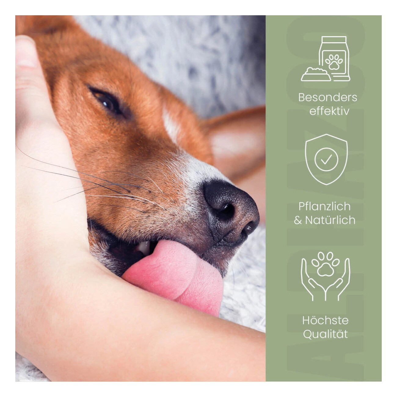 ALPHAZOO Magen-Darm Liquid Darmonie 100 ml I Hund