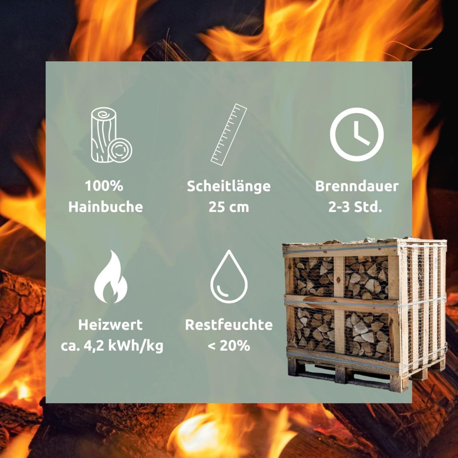 holz4home® Brennholz Hainbuche Kammergetrocknet 25 cm 1RM/ 1,6 SRM I 450-500 kg auf Palette I Ideal als Holz für Ofen Kamin BBQ I optimales Feuerholz Buchenholz Buche