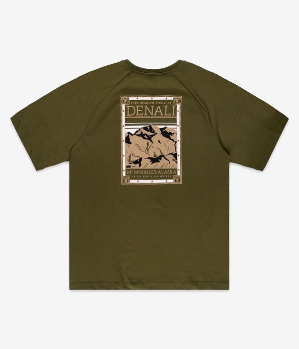 The North Face North Faces T-Shirt (forest olive)