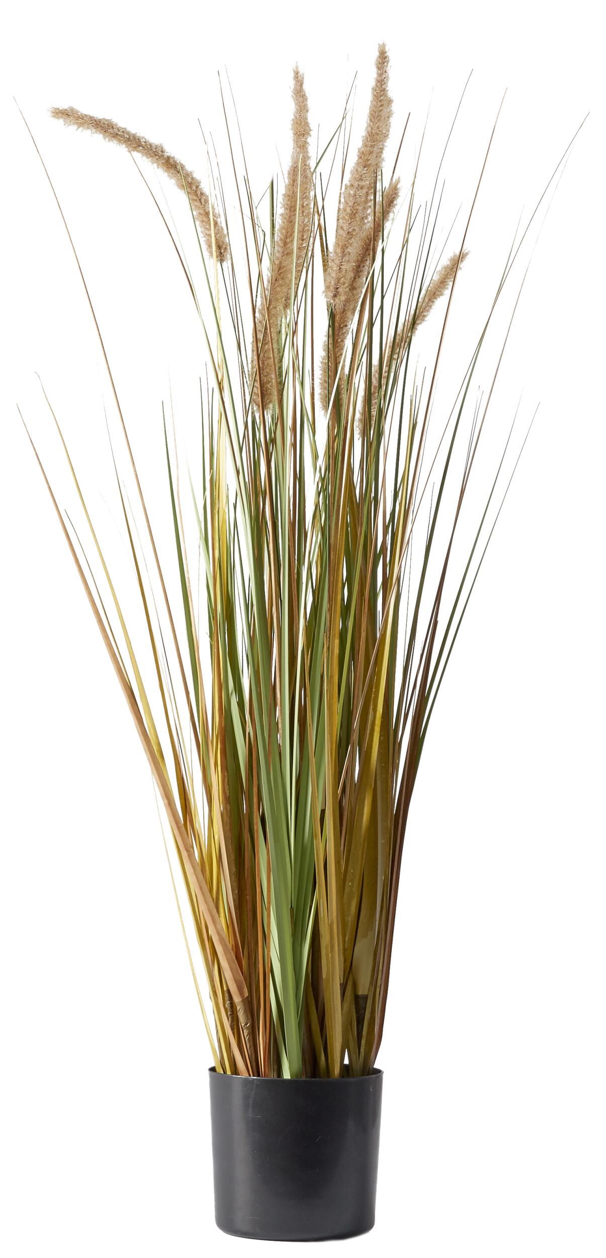 Plume Grass Kunstig plante 92 x 35 cm