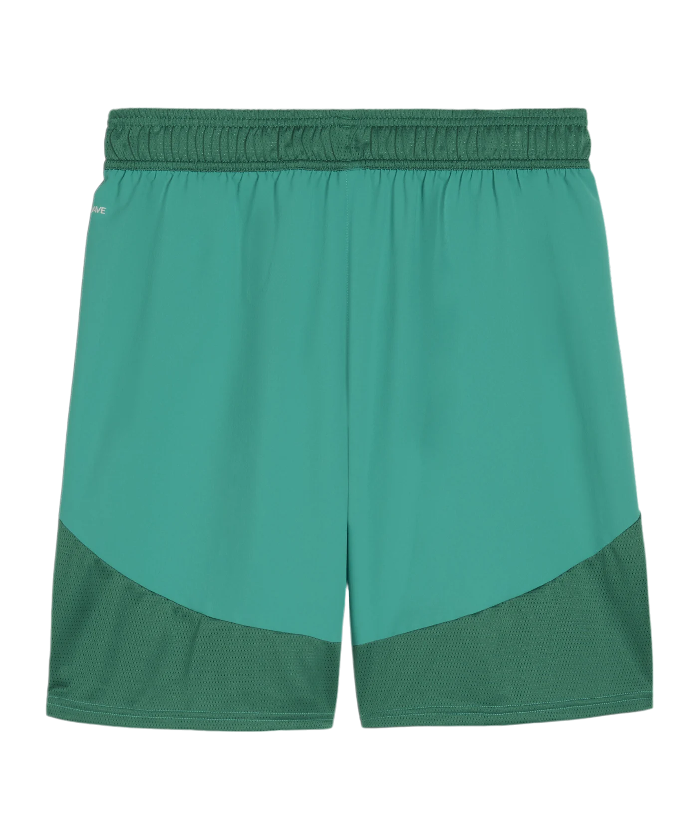PUMA teamFINAL Short Grün Weiss Grün F05