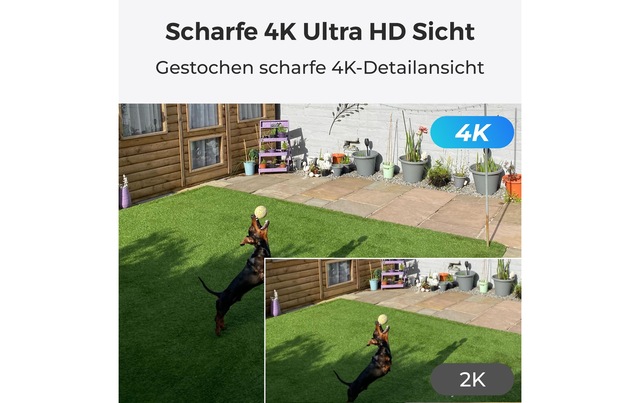 Reolink Überwachungskamera »B350 Weiss, inkl, Solarpanel« Aussenbereich