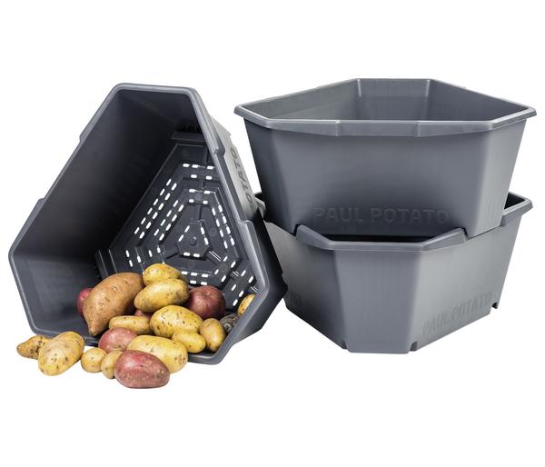 Gusta Garden Kartoffelturm Paul Potato