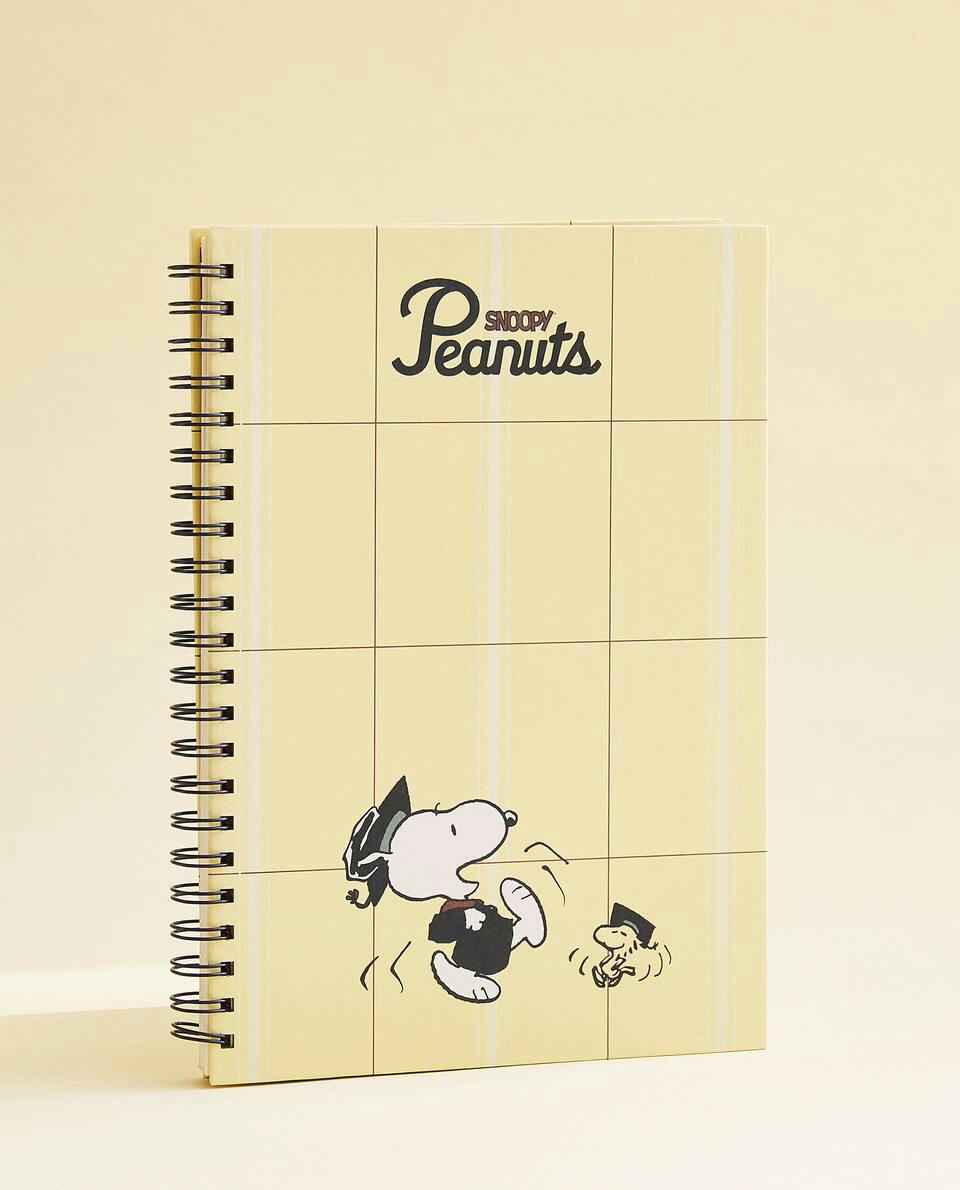 AMENDOIM? CADERNO