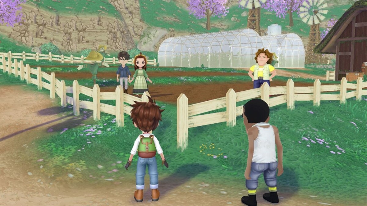 Story Of Seasons: A Wonderful Life - Limited Edition - PS5