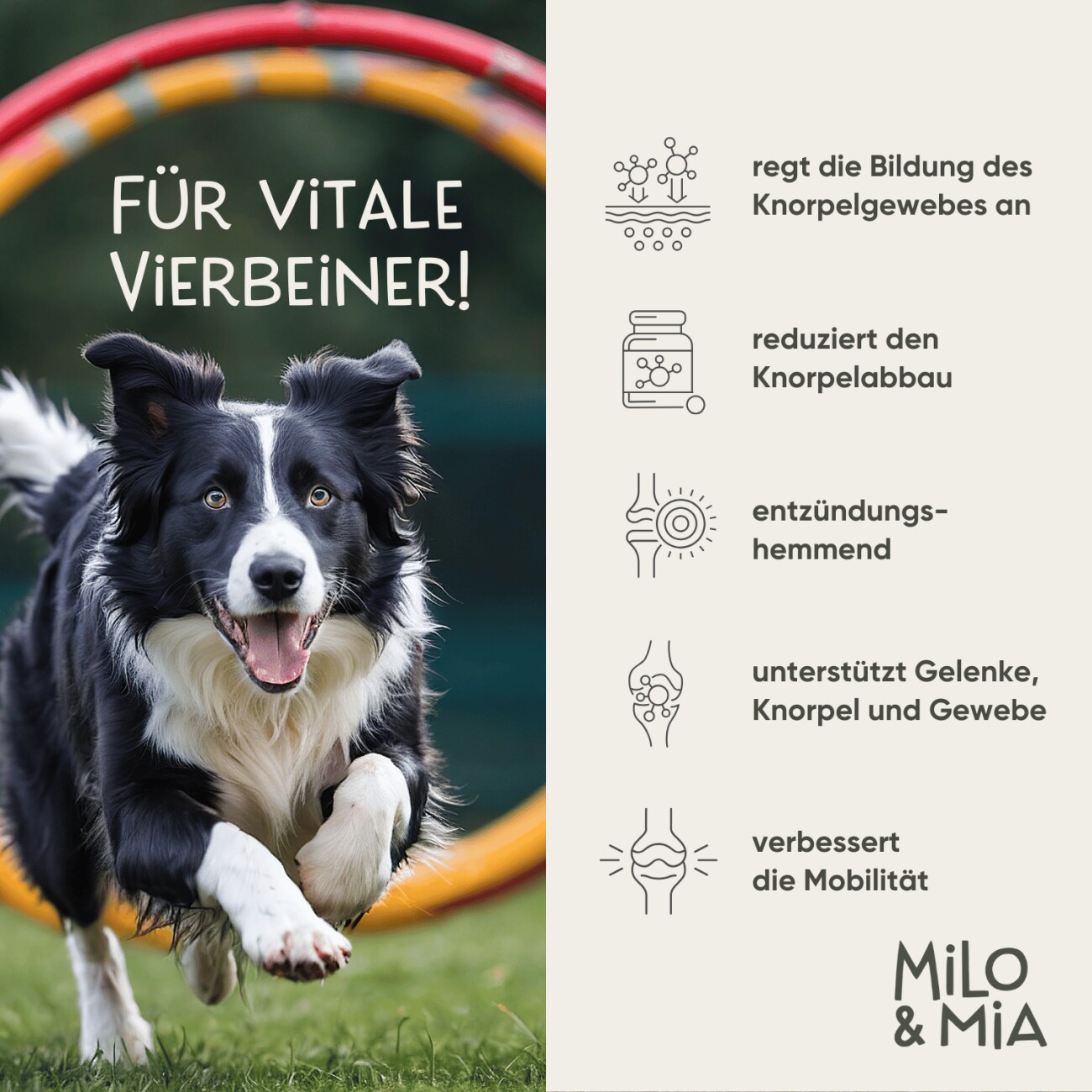 Milo & Mia Daily Bites - Knochen & Gelenke 300 g