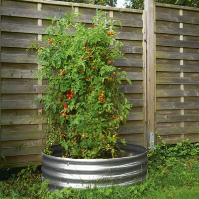 Manufactum Tomatenring Wellblech