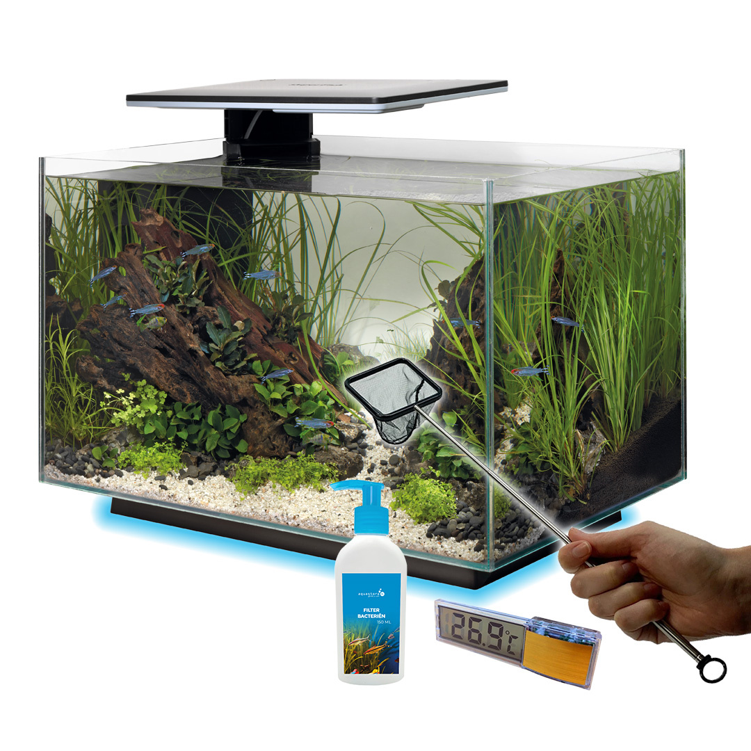 Superfish Quadro 40 Multi Colour Zwart Voordeelbundel