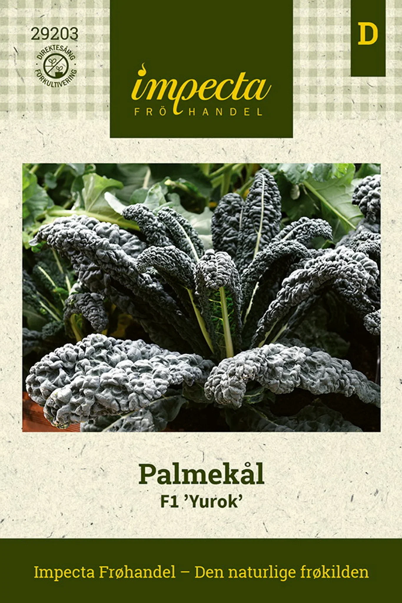 Brassica oleracea F1 'Yurok' Palmekål F1 'Yurok'