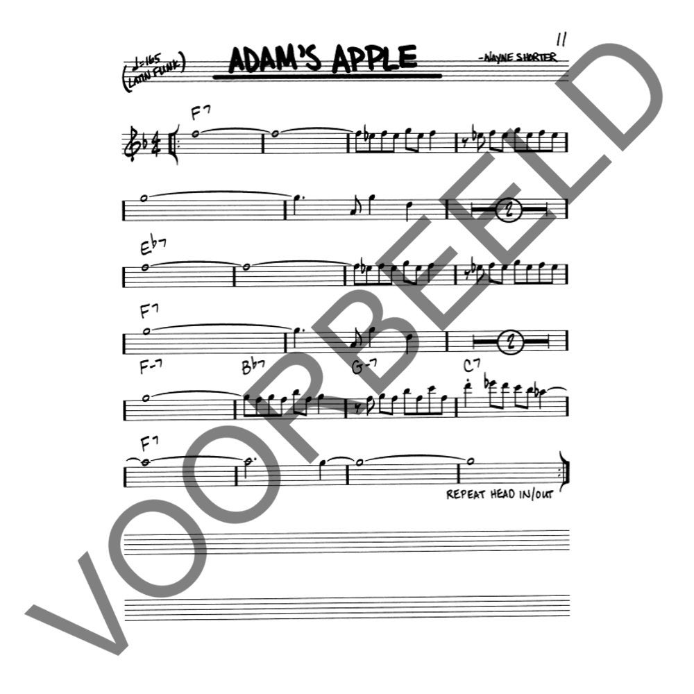 Hal Leonard The Real Book Volume II (Eb instrumenten)