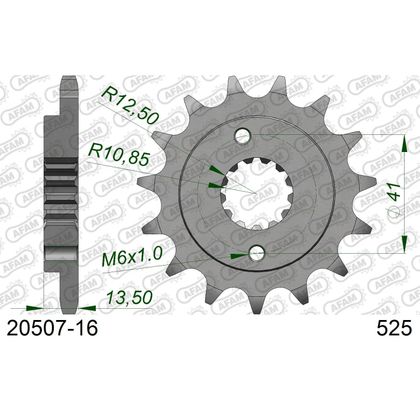 Kit chaine AFAM 525 Type Acier