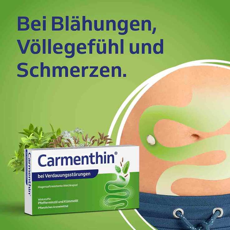 Carmenthin bei Verdauungsstörungen, 84 St