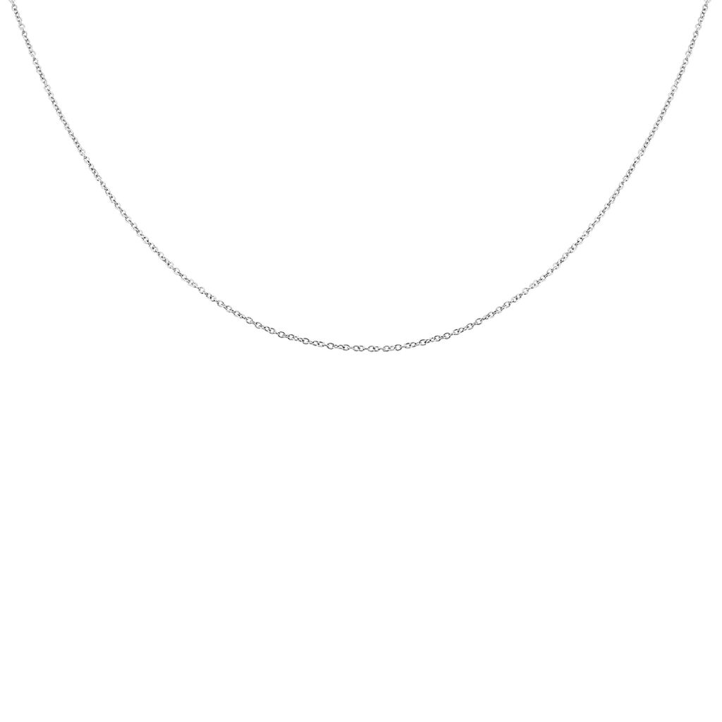 Chaîne Ilan Maille Forçat Ronde Or Blanc
