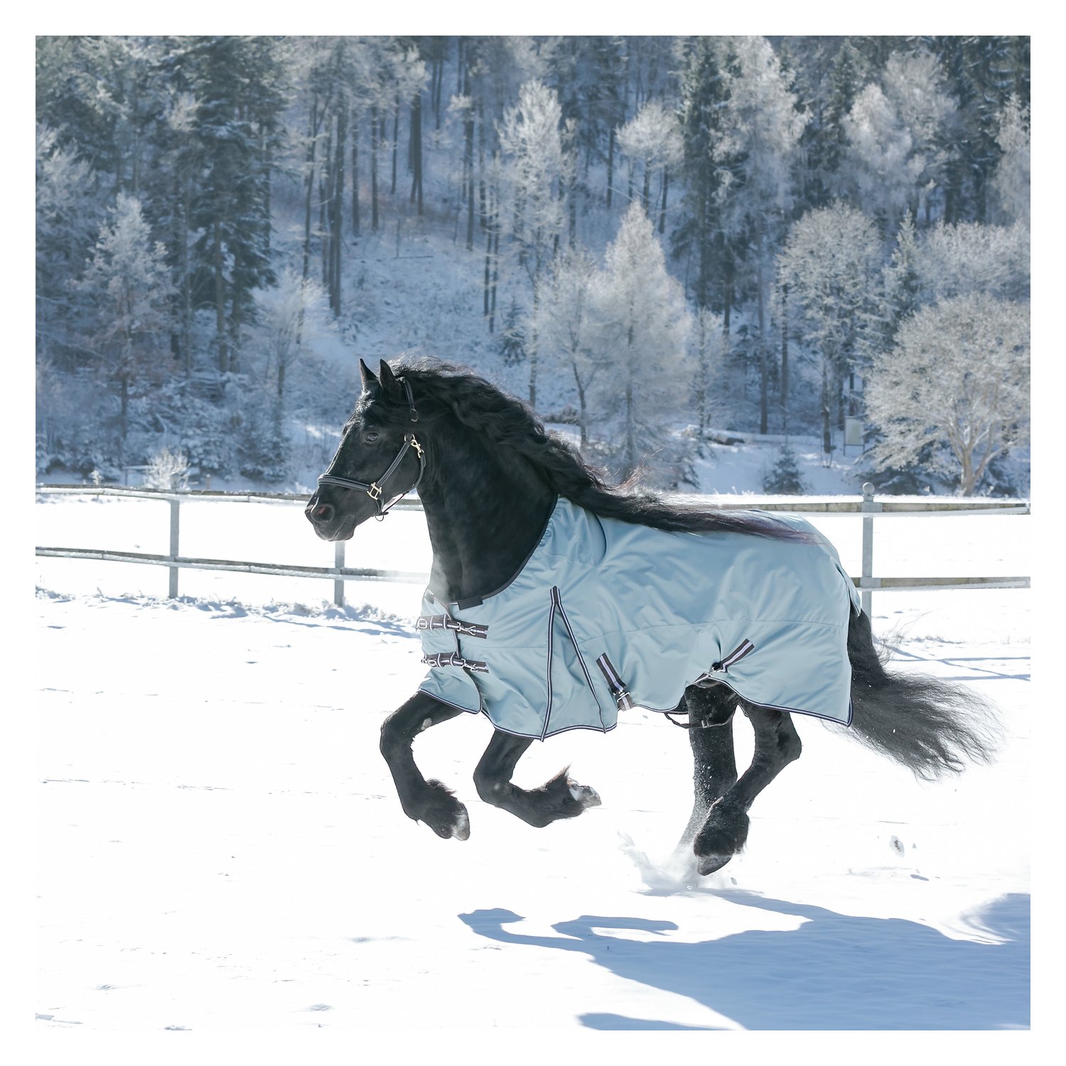 Horse-friends Outdoordecke XL 200 - denim