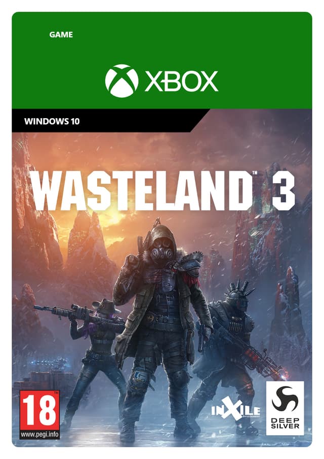 Wasteland 3