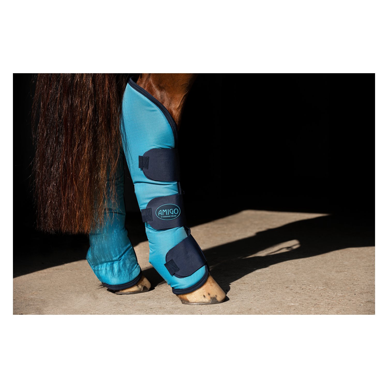 Horseware AMIGO Transportgamaschen-Set  - delphi/navy