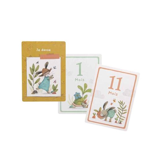 Cartes 