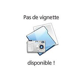 Loqueteau d'angle marron 4 kg