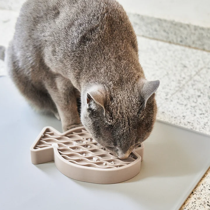 MiaCara - Pesce Beschäftigungsspielzeug für Katzen, greige