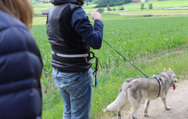 Husky-Trekking in Kulz - Wandern mit Huskies