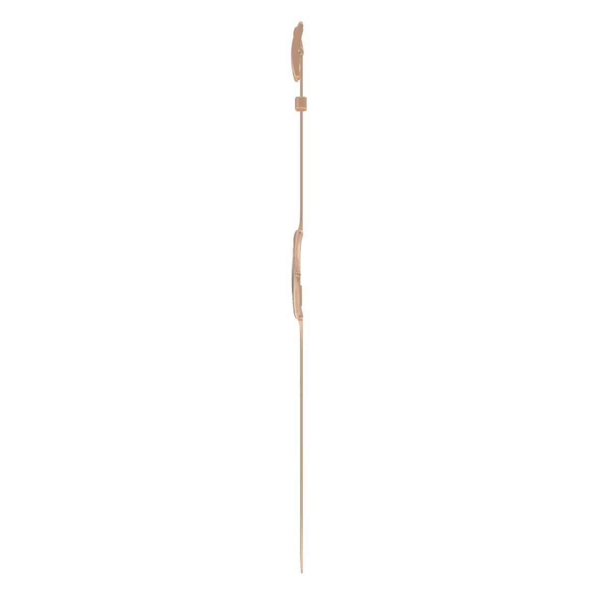 Montre femme Swatch Skin Tawny Radiance