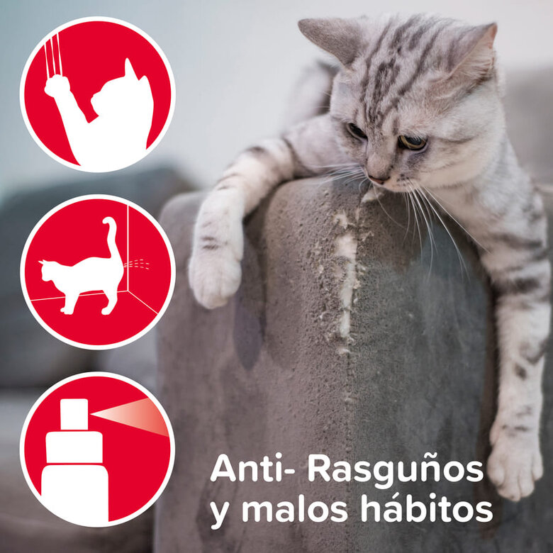 Spray Beaphar Keep Off para Gatos em Ambientes Fechados - Anti-arranhões e Treinador
