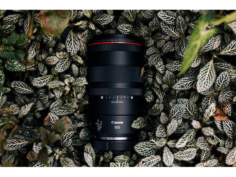 Canon Festbrennweite RF 100mm F/2.8 L Macro IS USM – Canon Makroobjektiv mit einer unglaublichen 1.4-fachen Vergrösserung