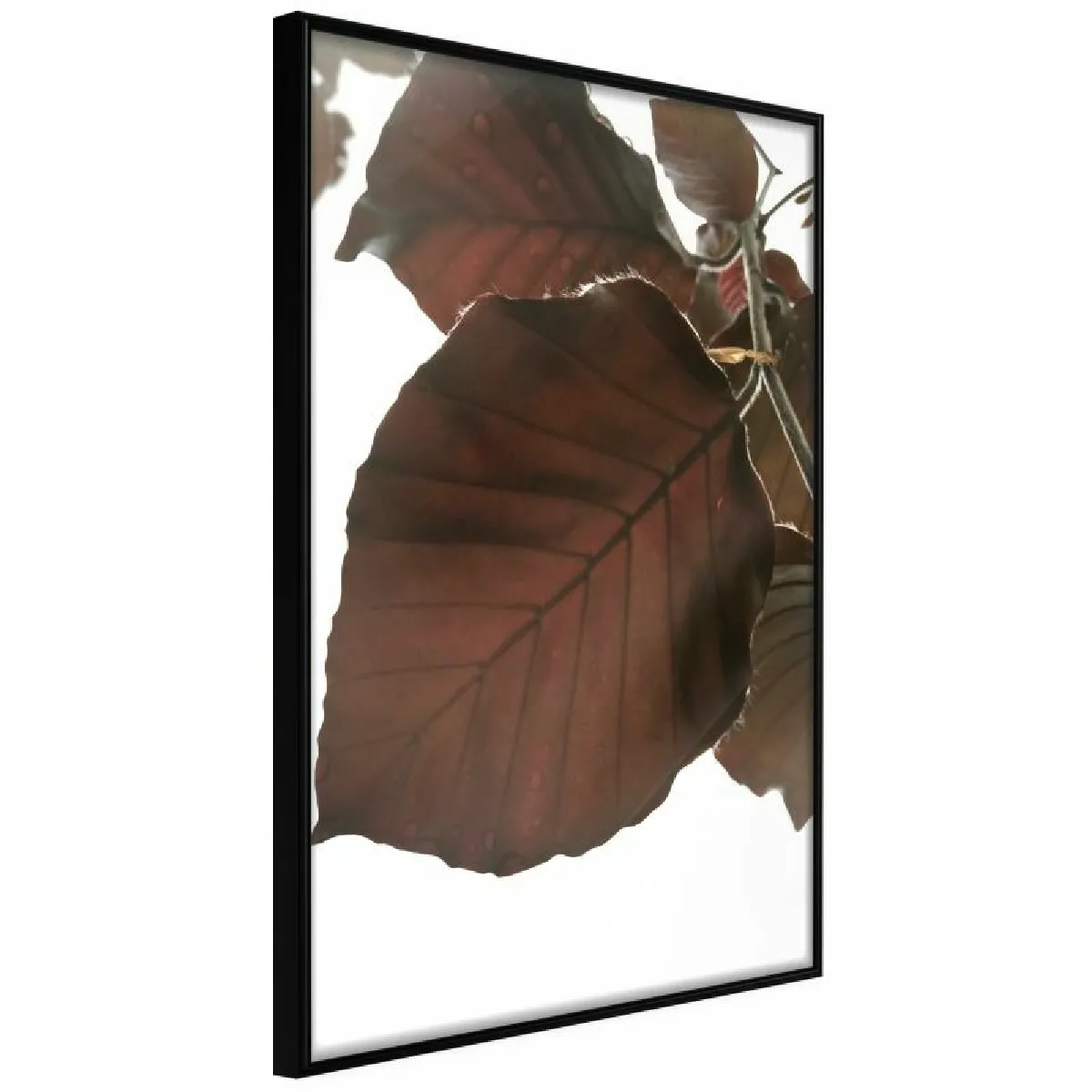 Paris Prix Affiche Burgundy Tilia Leaf - 40 x 60 cm - Multicolore