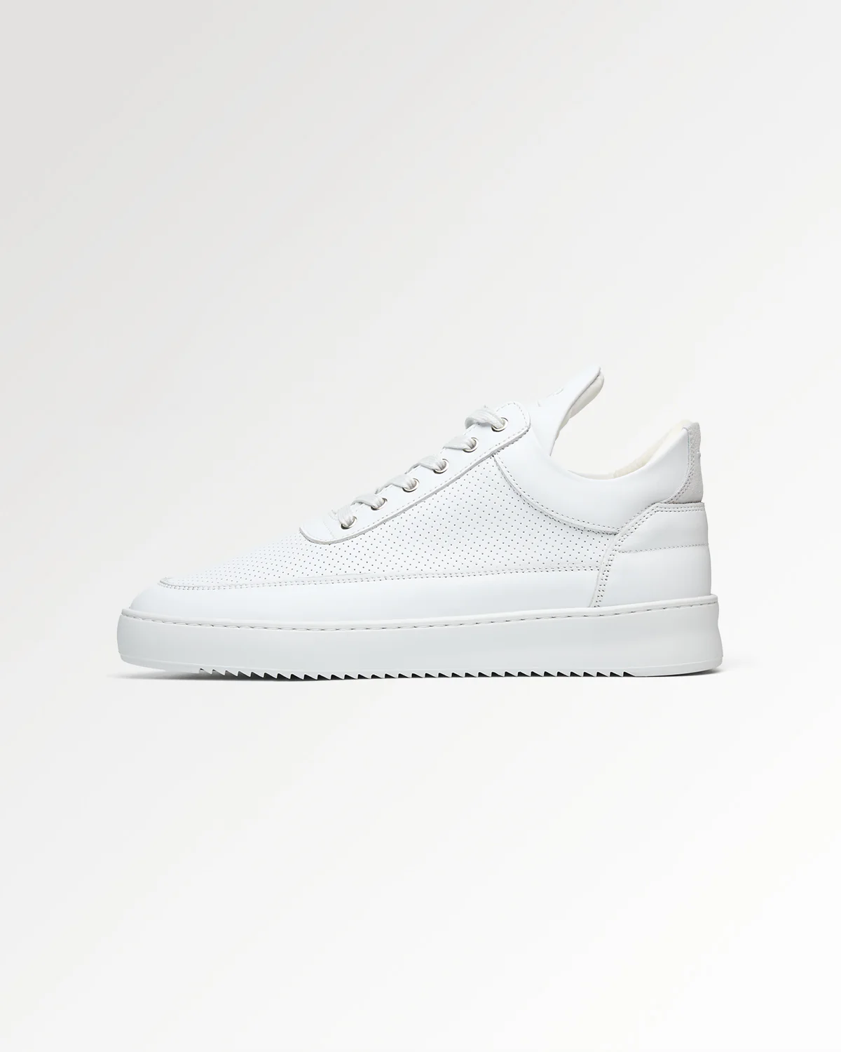 Low Top Nappa Perforated White / Off White