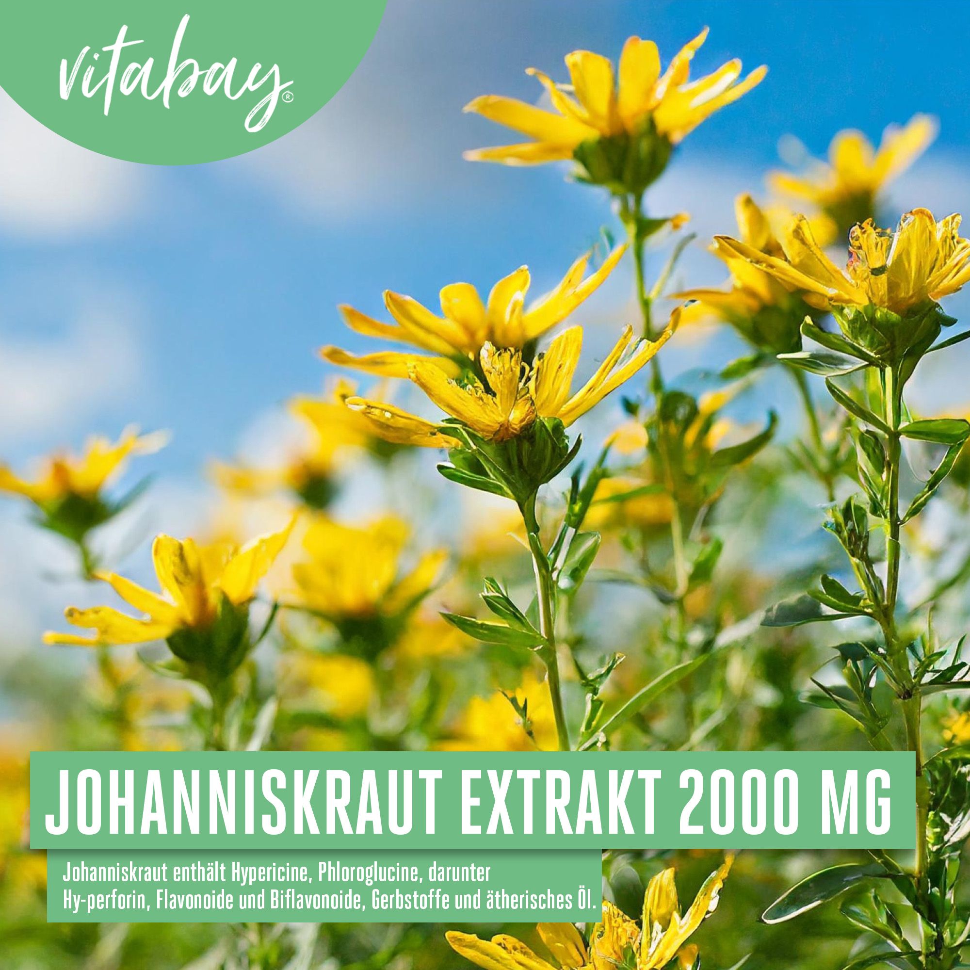Vitabay Johanniskraut Extrakt 2000 mg
