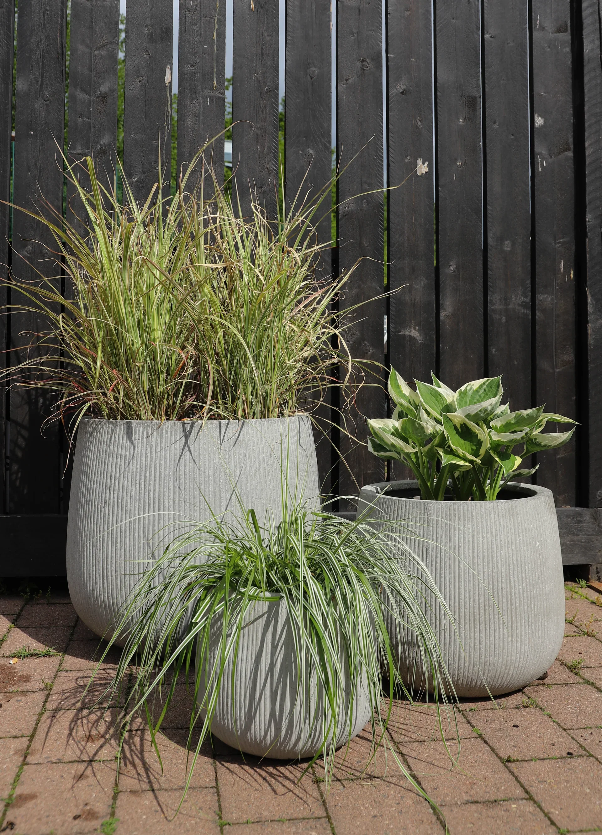 Plantagen Potte Joel Ø29 cm
