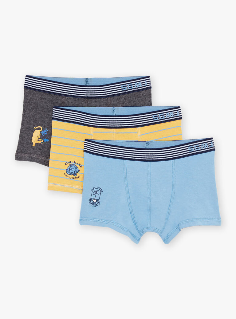 Lot de 3 boxers assortis en coton biologique