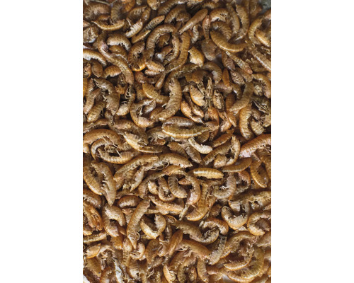 Gammarus SiLine Naturin Bach amphipoden 250 ml