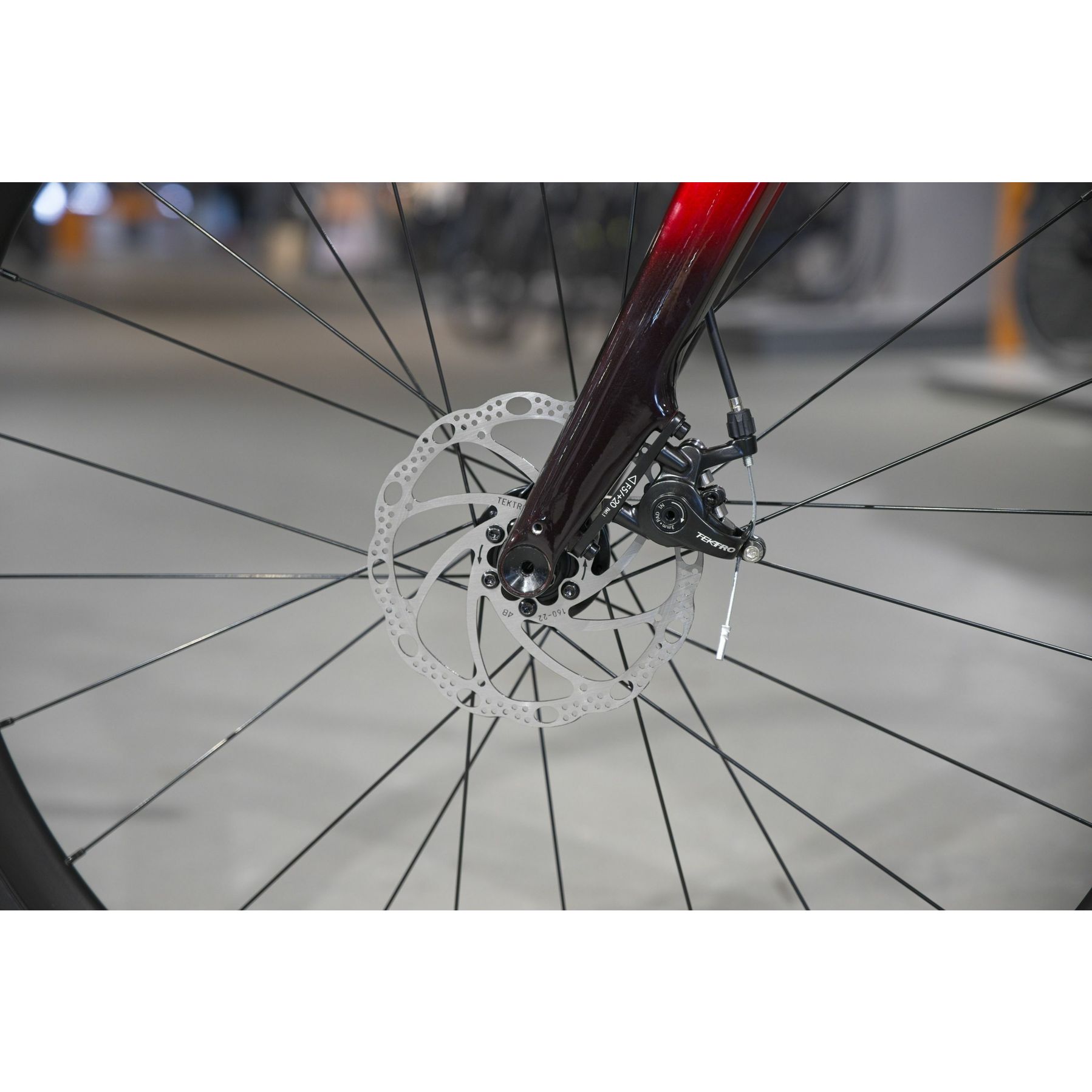 Trek Domane AL 2 Gen 4 2026
