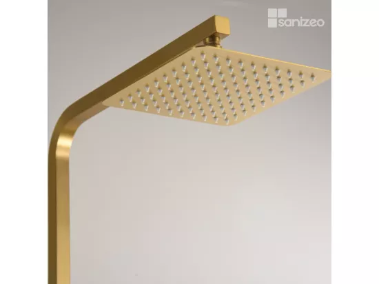 Colonne de Douche Thermostatique Anti-Calcaire Or Brossé VIGO BTV013/OC